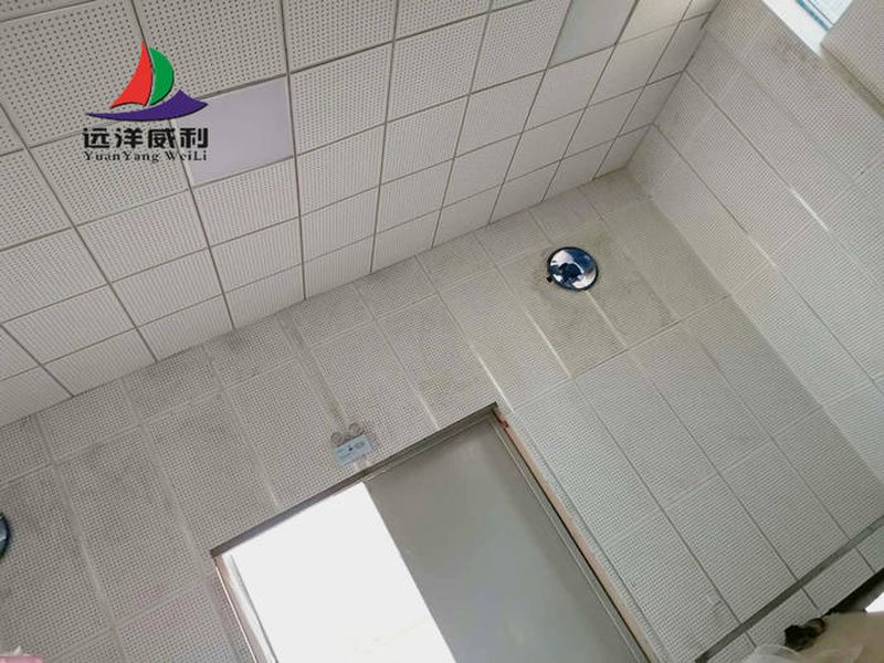 Case analysis of perforated sound-absorbing panel machine room ceiling wall full surround